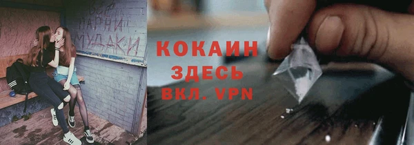эйфоретик Пересвет