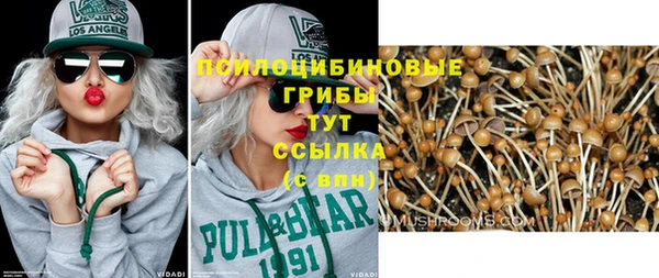 эйфоретик Пересвет