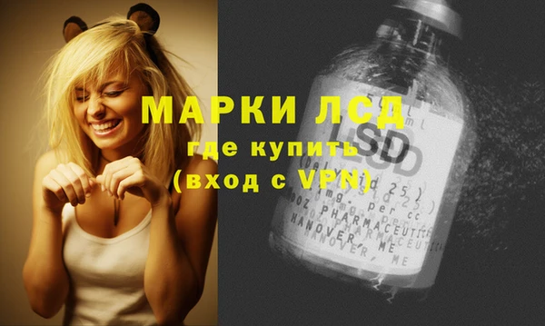 прущие грибы Грязовец